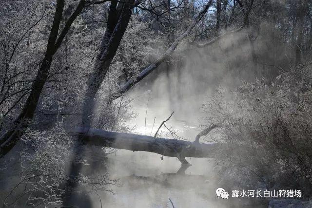 吴金贵白高兴了！原以为从申花下课会被抢着要，如今却还失业在家