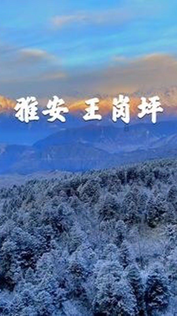 魔法祖玛