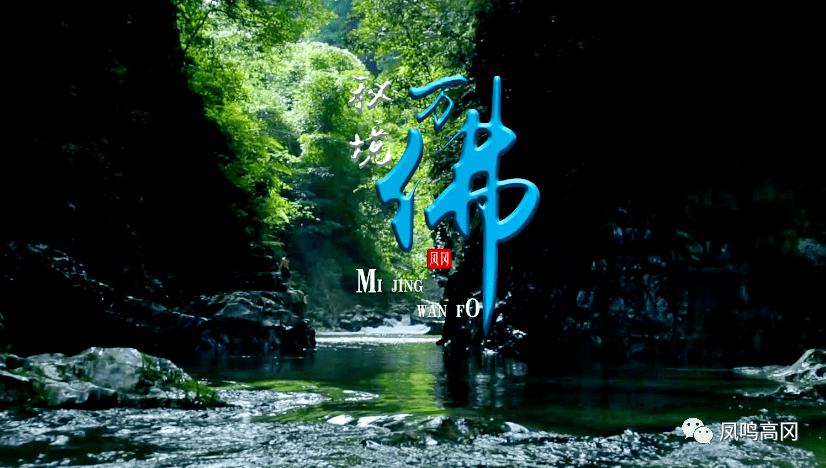 解救野生狐狸