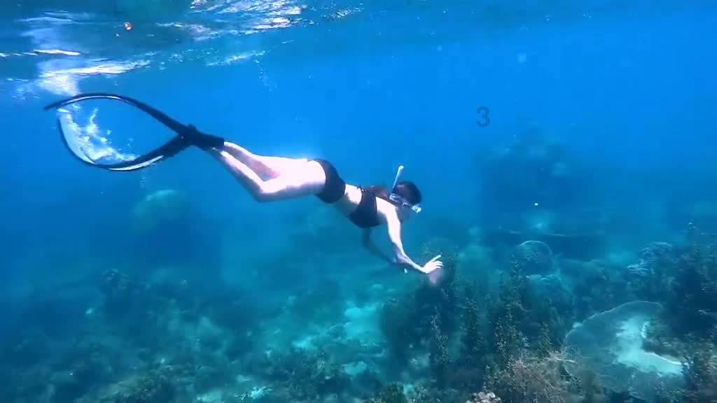 泡泡袖夏装