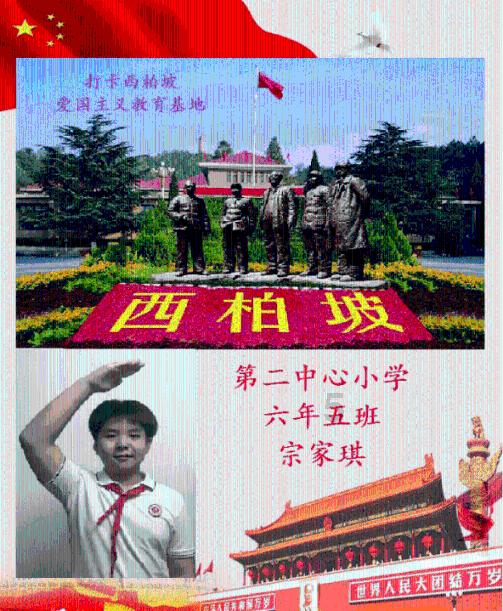 天鹅森林逃脱