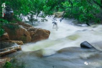 这一次，赵丽颖缺席，成了大深V、全露背红毯女星们的“教科书”