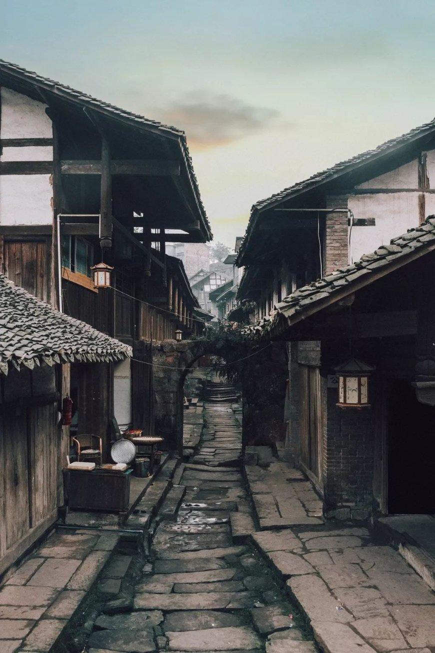 红树林逃生